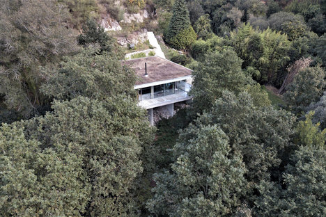 Maison de la cime des arbres