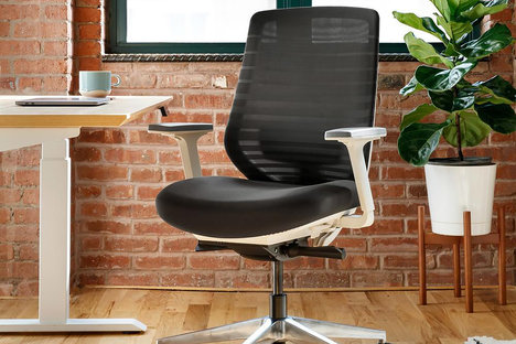 ブランチエルゴノミックチェア