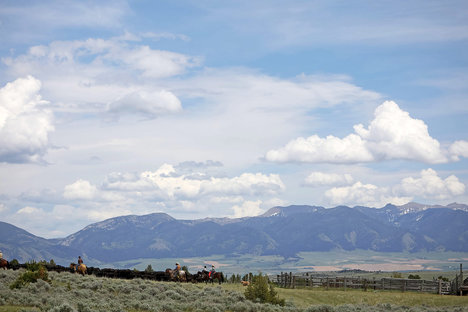 クライミングアローランチ