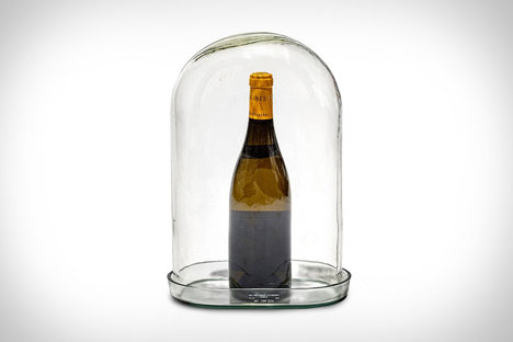 Glass Dome Display Case Glass Dome Display Case