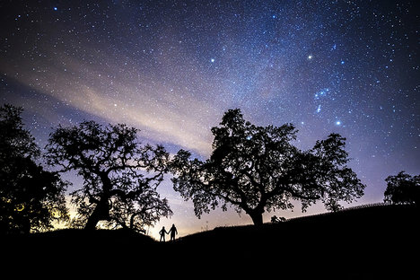 Montage Healdsburg Skywatching Experience Montage Healdsburg Skywatching Experience