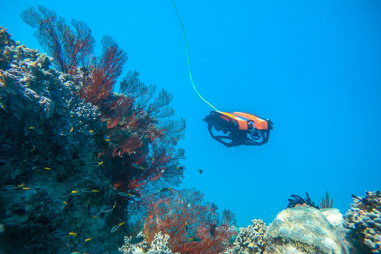 Teleportal Virtual Great Barrier Reef Tours