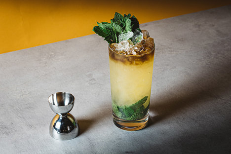 Queen's Park Swizzle Cocktail Recipe