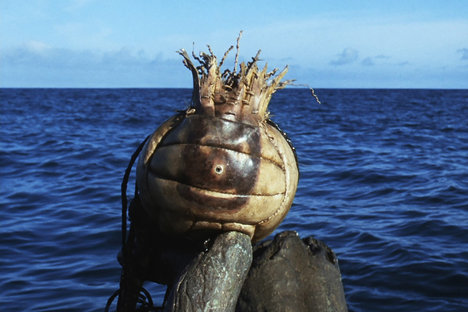 Tom Hanks' Cast Away Wilson Volleyball Tom Hanks' Cast Away Wilson Volleyball