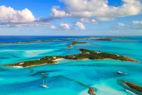 リトルパイプケイ