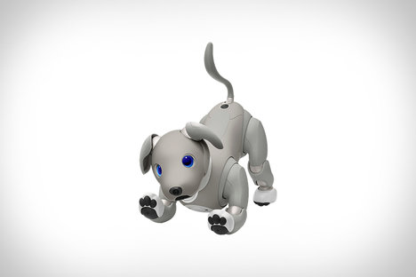 Sony Aibo Black Sesame Robot Dog Sony Aibo Black Sesame Robot Dog