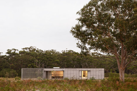 Hawks Nest Courtyard House