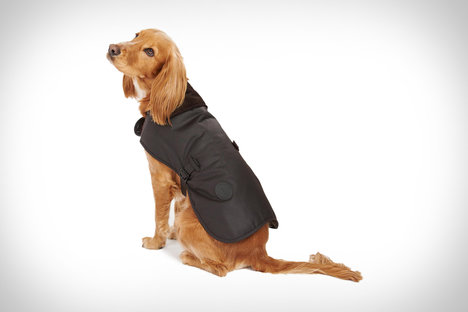 Manteau pour chien en cire Barbour