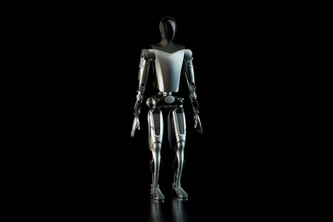Tesla Bot Tesla Bot