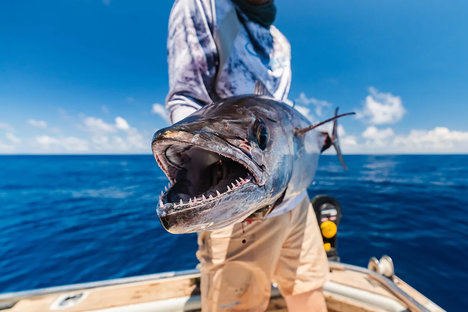 Captain Experiences Fishing Charters Captain Experiences Fishing Charters