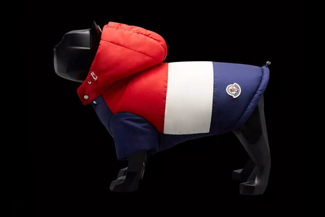 Moncler x Poldo Dog Couture Collection Moncler x Poldo Dog Couture Collection