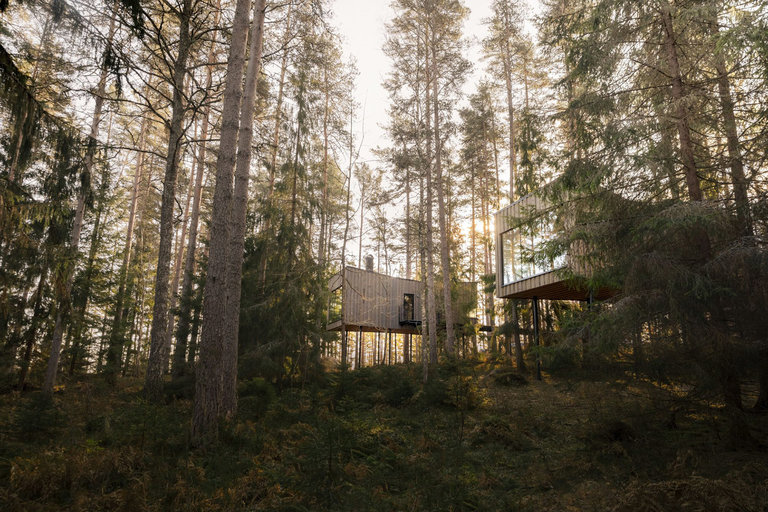 Trakt Forest Hotel