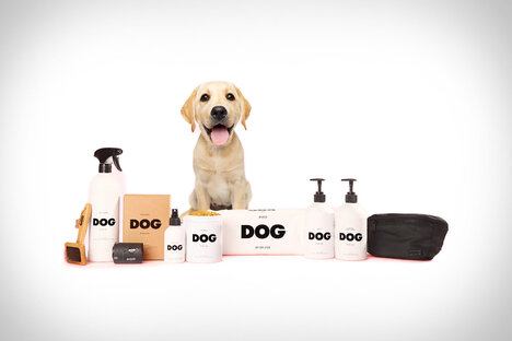 Chien par le Dr Lisa