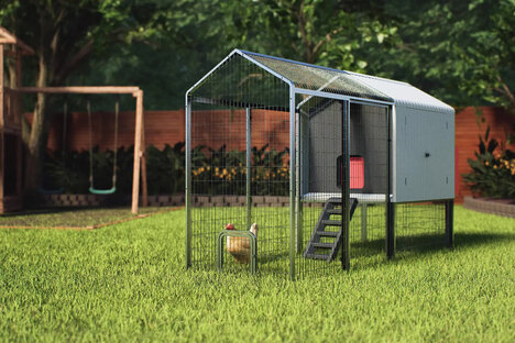 Coop Smart Backyard Poulailler