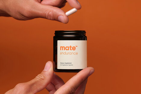 伴侣耐力 PE 补充剂