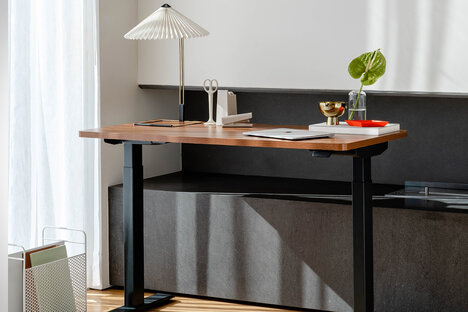 Branch Duo 站立式办公桌