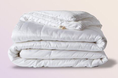 Sheets & Giggles Eucalyptus Lyocell Comforter