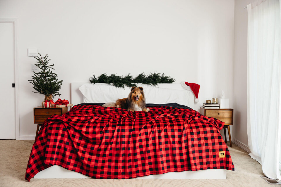 More Animated Book Covers Uncrate