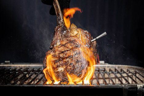 Meater 2 Plus 无线肉类温度计