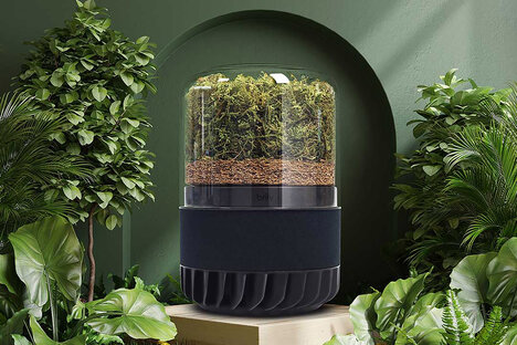 Briivy Pro Air Purifier