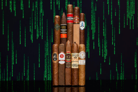 Cigora vs. AI Sampler Cigora vs. AI Sampler