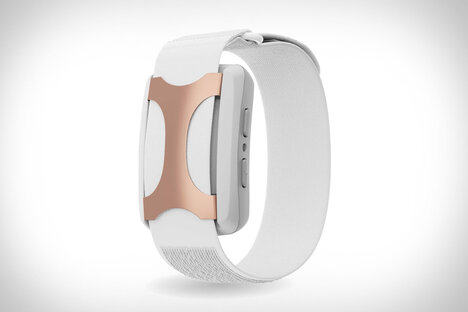 Apollo Stress Management Wearable Apollo Stress Management Wearable