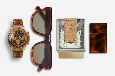 Everyday Carry: Leopard Everyday Carry: Leopard