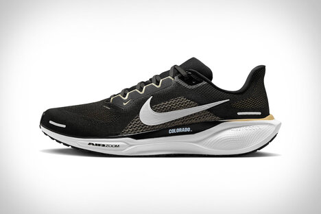 Chaussures de course Nike College Pegasus 41