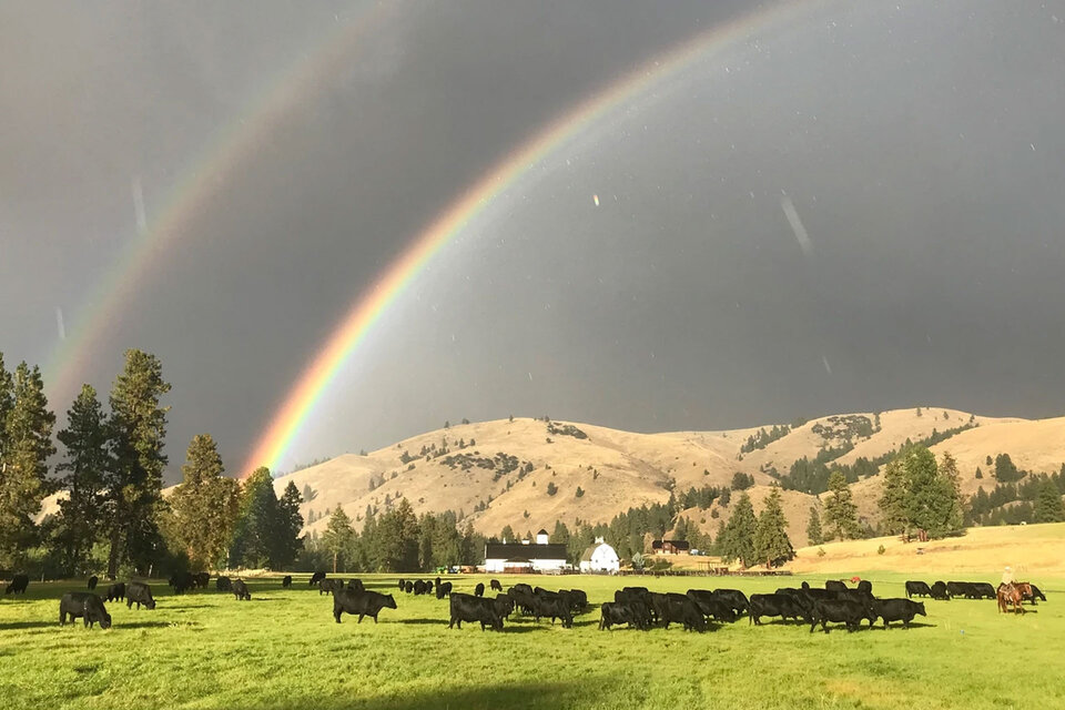 Yellowstone's Chief Joseph Ranch | Uncrate