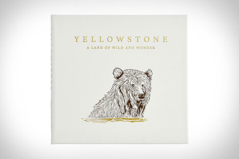 黄石公园：一片充满野性和奇妙的土地