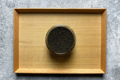 Regalis Platinum Osetra Caviar Regalis Platinum Osetra Caviar