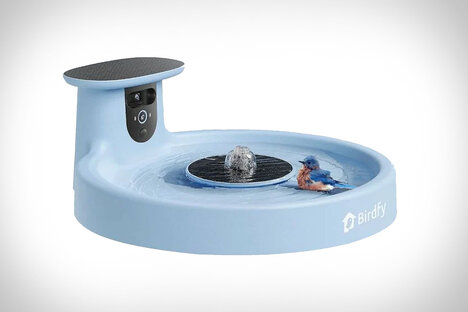 Birdfy Bath Pro Birdfy Bath Pro