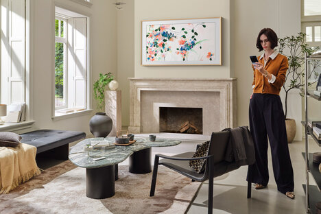Samsung The Frame Pro TV Samsung The Frame Pro TV