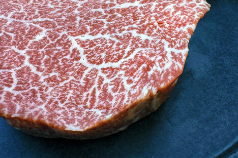 Regalis Miyazaki A5 Wagyu Tenderloin Filet Mignon Cut Regalis Miyazaki A5 Wagyu Tenderloin Filet Mignon Cut