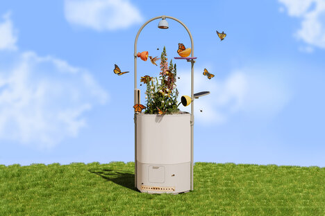 Bird Buddy Wonder Blocks