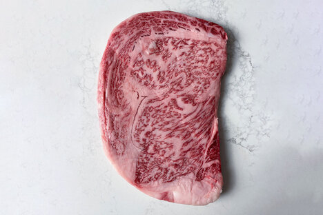 Regalis Miyazaki A5 Wagyu Ribeye Steak Regalis Miyazaki A5 Wagyu Ribeye Steak