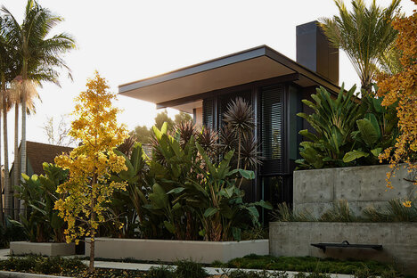 玫瑰木混凝土房屋