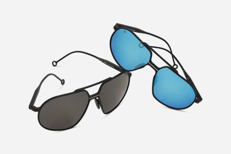 Westy King Sunglasses