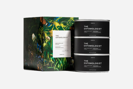 Heretic The Entomologist Insektenkerzen-Set