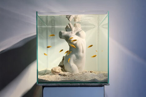 Born Wet Aquarium Sculptures Born Wet Aquarium Sculptures