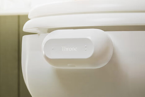Throne Toilet Health Tracker