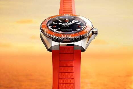 OMEGA Seamaster Planet Ocean 600M Watch