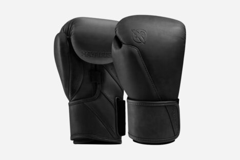 Hayabusa T360 Leather Boxing Gloves