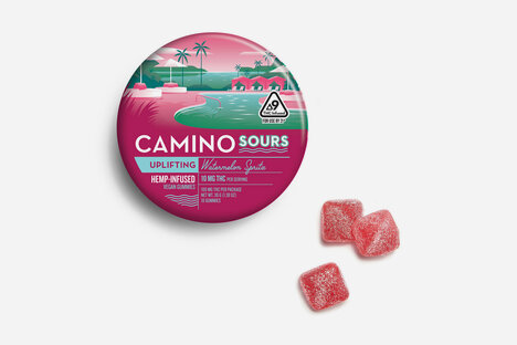 Camino Gummies