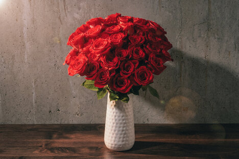 Bouqs Valentine Flowers