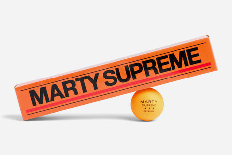 Marty Supreme Championship Table Tennis Balls