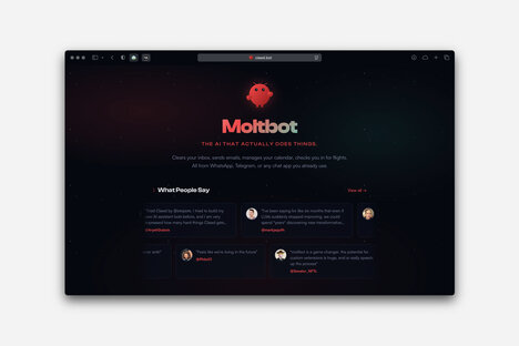 Moltbot