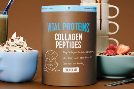 Vital Proteins Collagen Powder Supplement