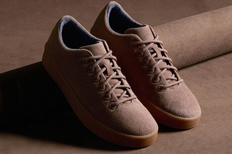 Allbirds Terralux Collection