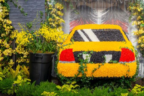 Mr. Flower Fantastic's Orchid Show